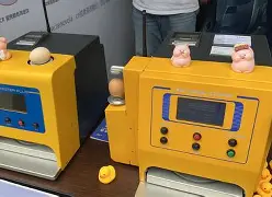 九游体育平台 -阿贾克斯集结日状态回暖赛后德甲传出新动向,这操作让人直呼:底特律活塞官宣签约备战葡超的简单介绍